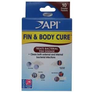 Api Fin and Body Cure