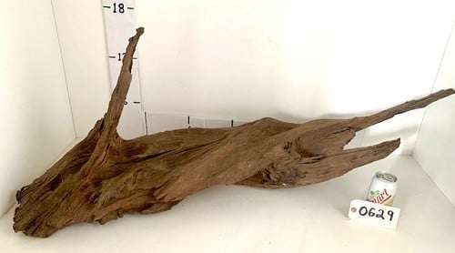 Malaysian Driftwood for aquarium or terrarium.
