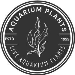 Aquarium Plants Logo transp